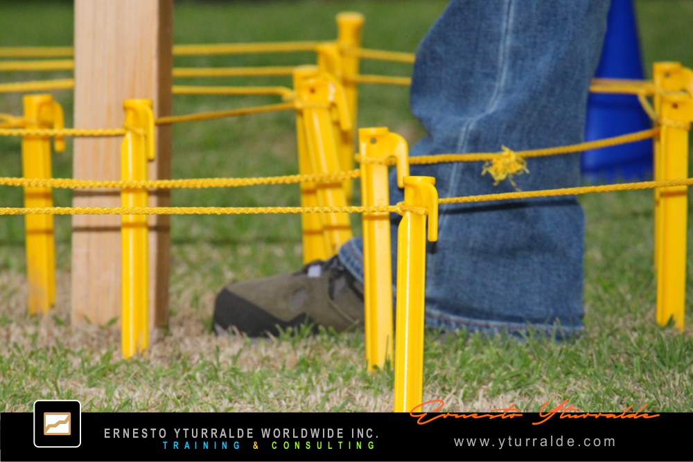 Talleres de Cuerdas | Dinámicas de Grupos y Actividades para Team Building Empresarial