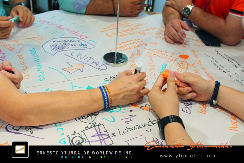 Talleres de Cuerdas | Dinámicas de Grupos y Actividades para Team Building Empresarial