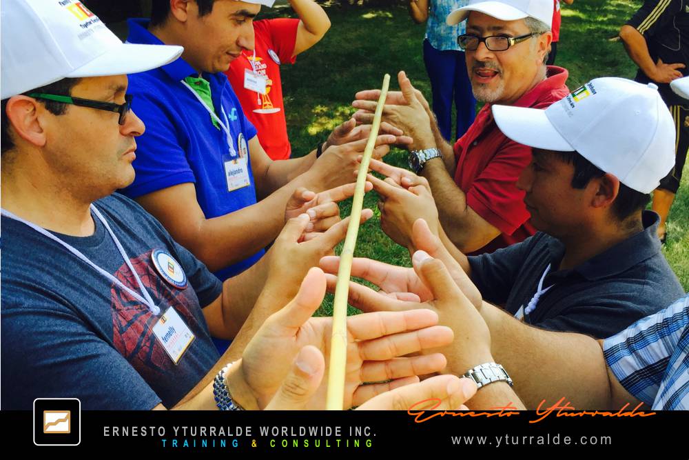 Team Building LATAM, El Caribe y USA Talleres de Cuerdas Bajas | Team Building Empresarial para el desarrollo de equipos de trabajo