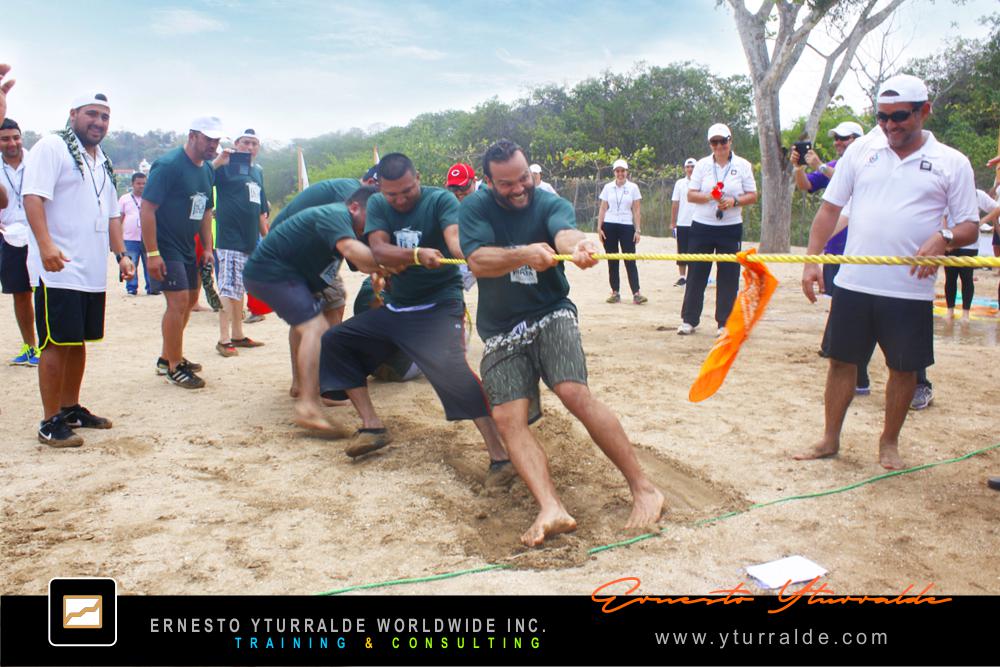 Team Building LATAM, El Caribe y USA Talleres de Cuerdas Bajas | Team Building Empresarial para el desarrollo de equipos de trabajo